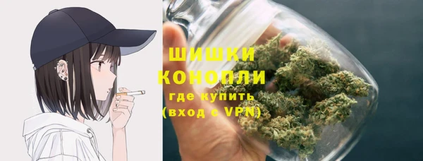 мдпв Россошь