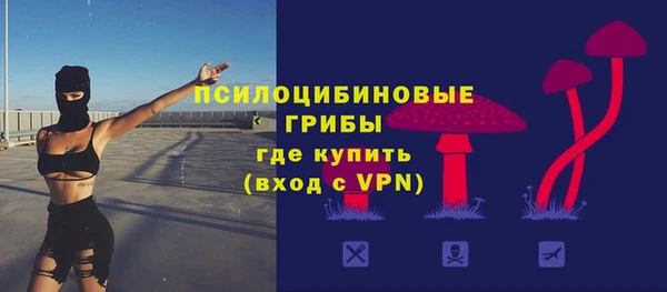 а пвп мука Абаза
