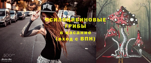 мдпв Россошь