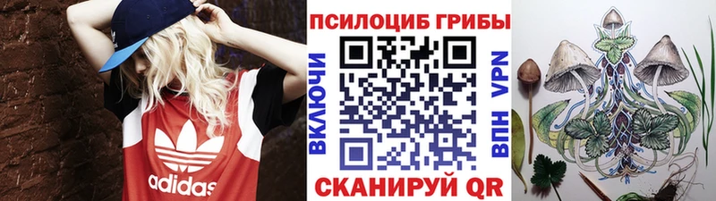 Псилоцибиновые грибы Cubensis  Балахна 